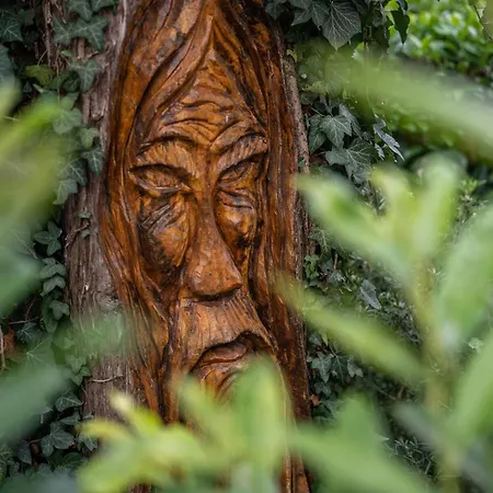 בית הארחה Haus Ursula 3*